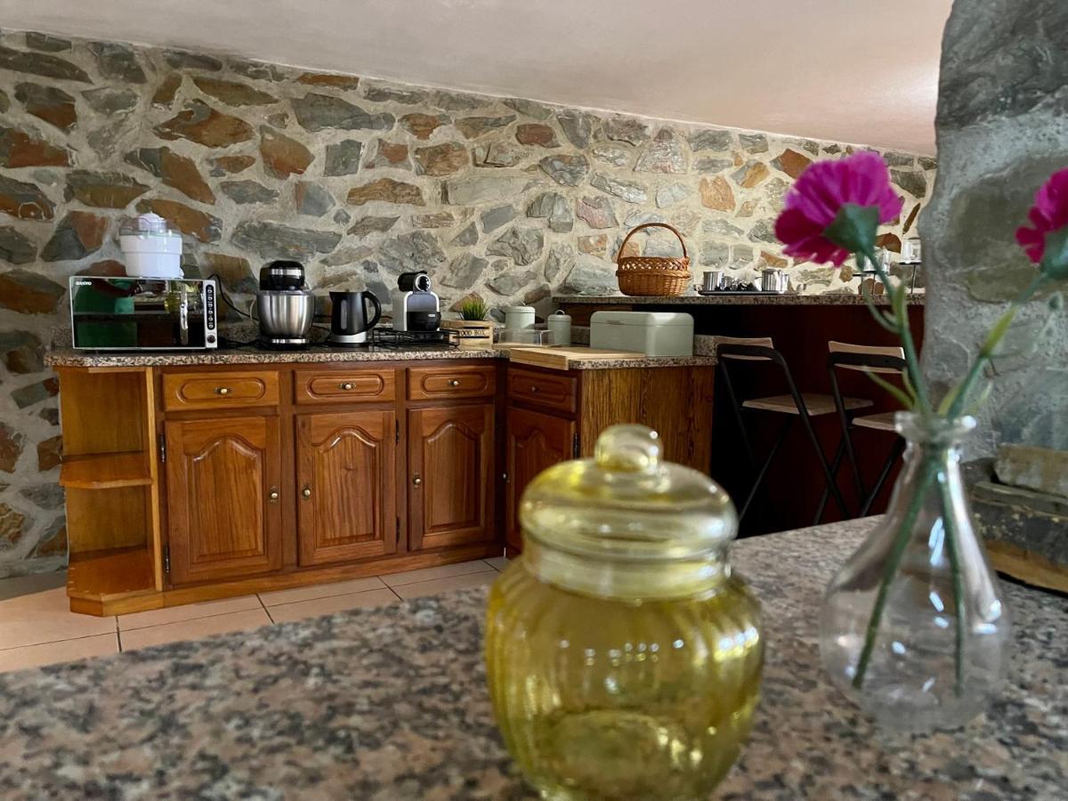 Holiday home La Cigarrita - Douro Valley