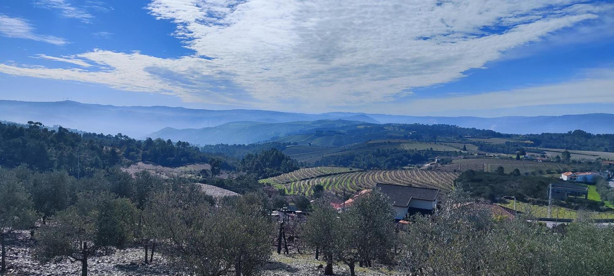 La Cigarrita - Douro Valley